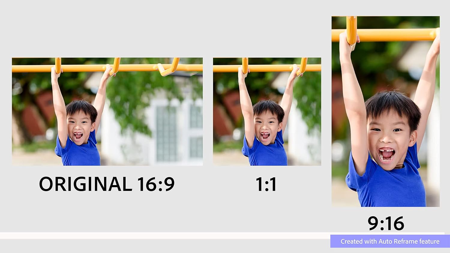 Photoshop Elements 2022 & Premiere Elements 2022 PC Software N617