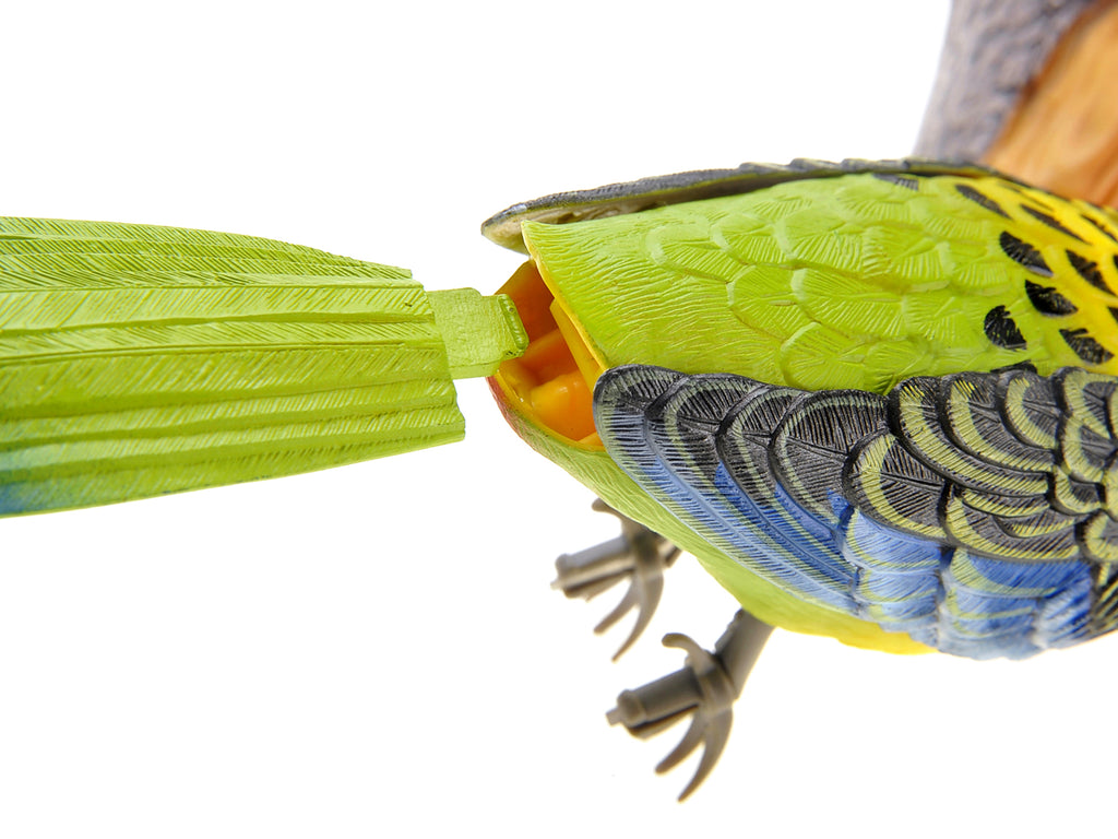 Wall Mount Dancing Bird Toy with Motion Sensor O811273