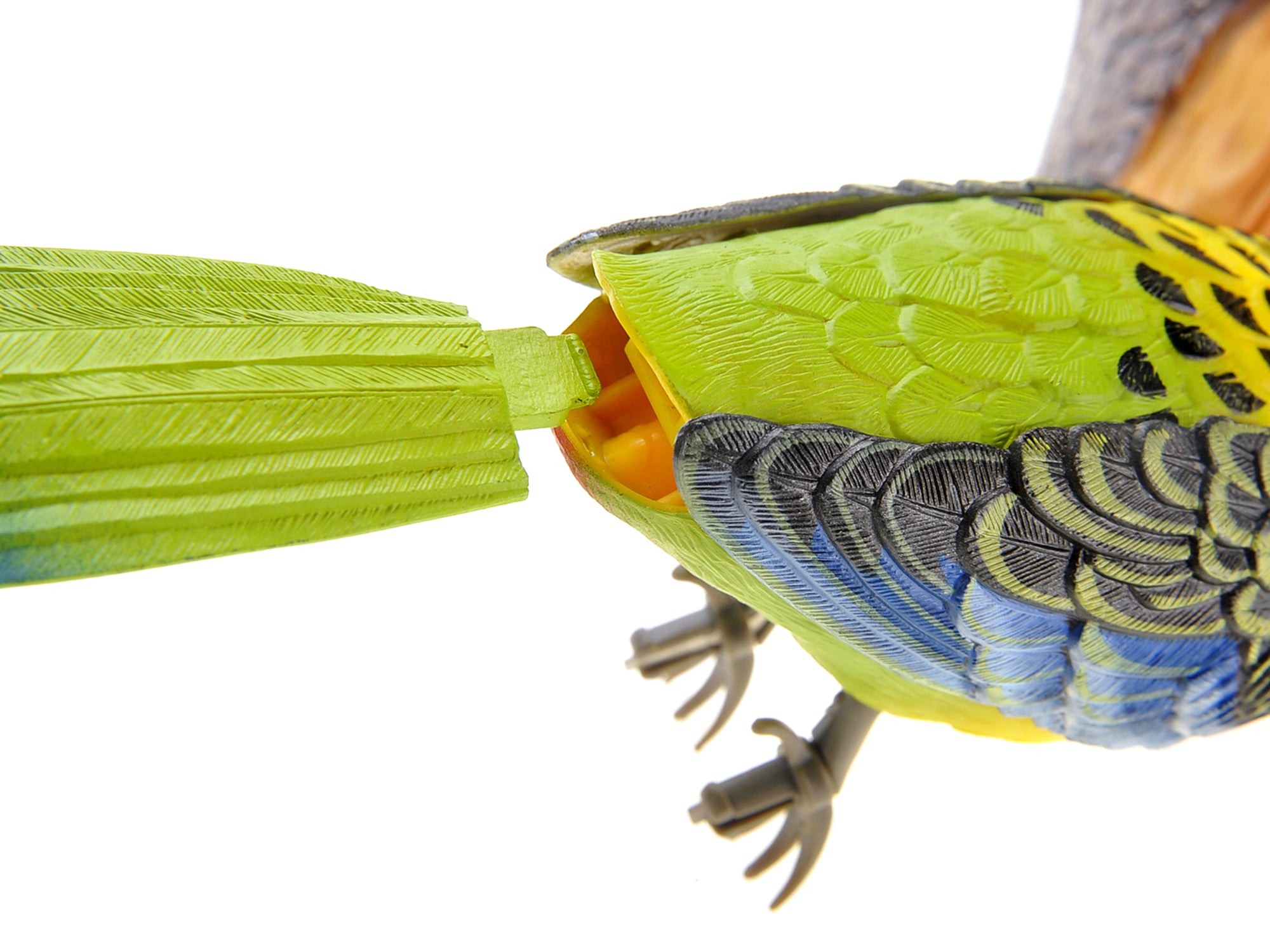 Wall Mount Dancing Bird Toy with Motion Sensor O811273