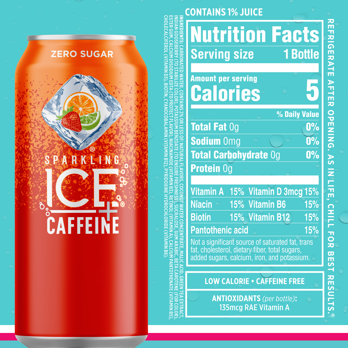 12 16oz Can Flavored Sparkling Water Variety Pack E262