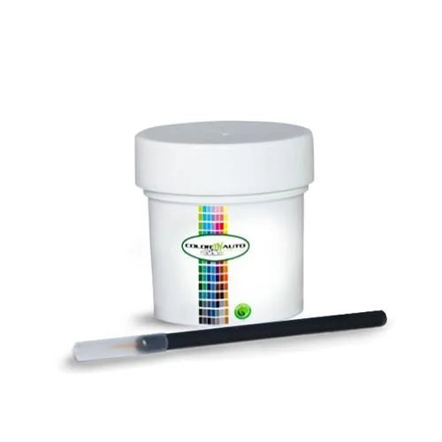 Single Stage Automotive Paint 1 Oz Bottle T479891