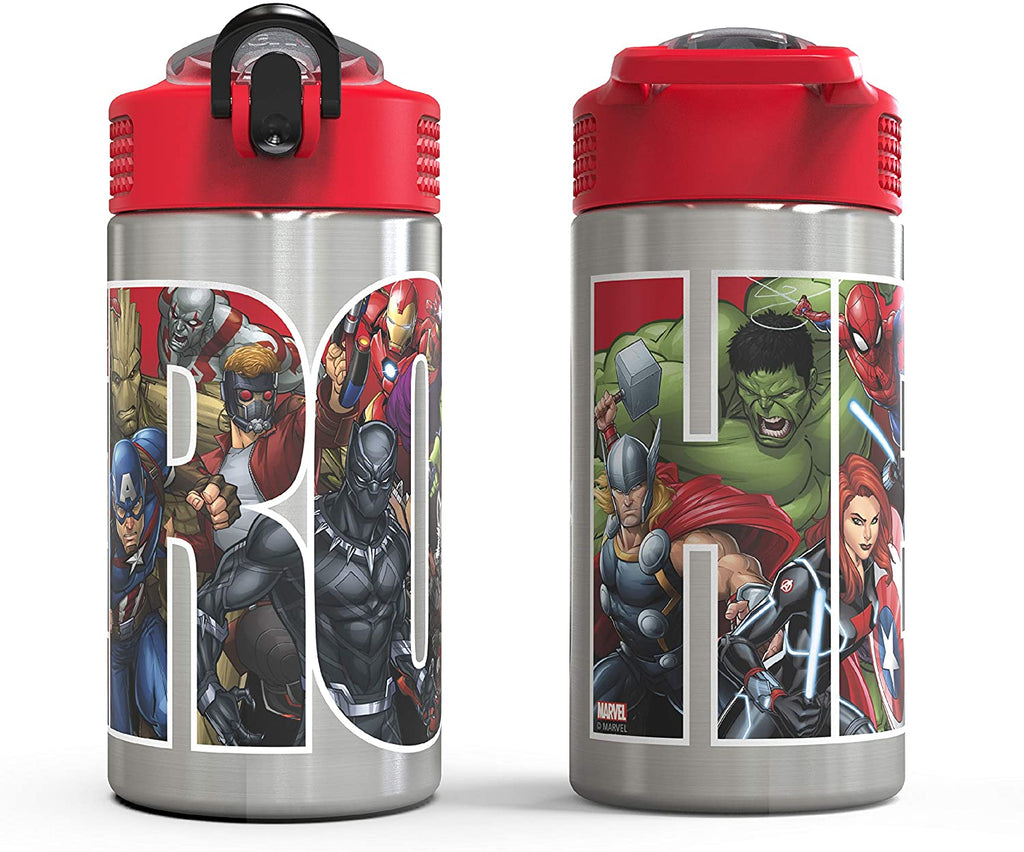 Stainless Steel Water Bottle with Straw Spout, 15.5 oz Q871097
