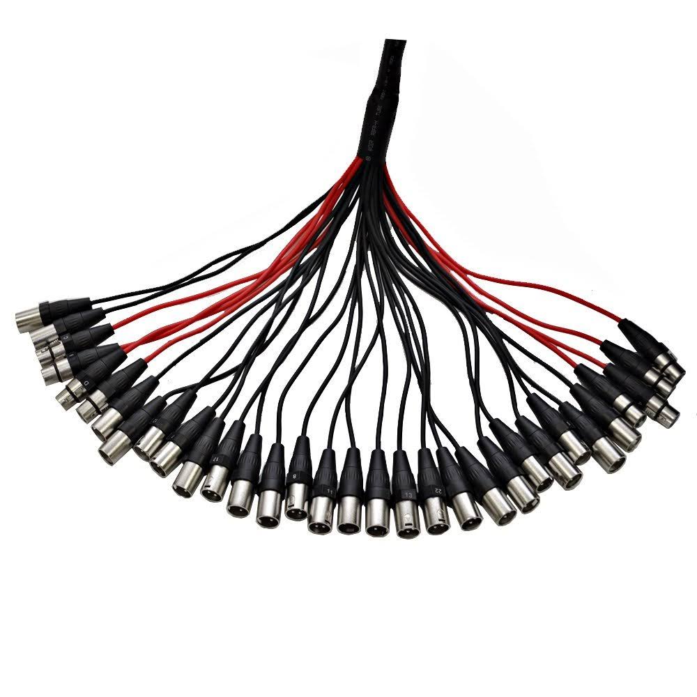 24-Channel XLR Snake Cable L1687