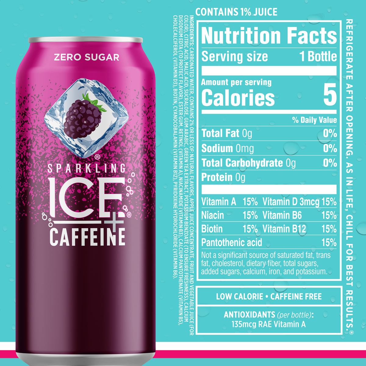 12 16oz Can Flavored Sparkling Water Variety Pack E262