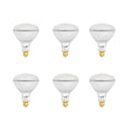 400-Watt Soft White R40 Dimmable Incandescent Flood Light Bulb (6-Pack) H15165