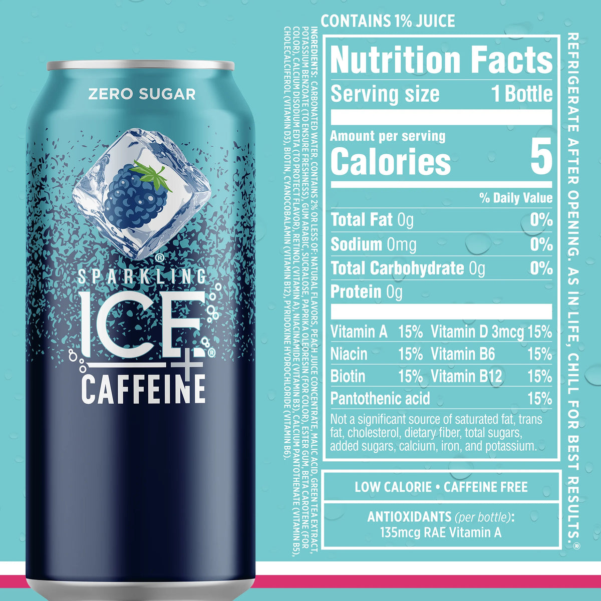 12 16oz Can Flavored Sparkling Water Variety Pack E262