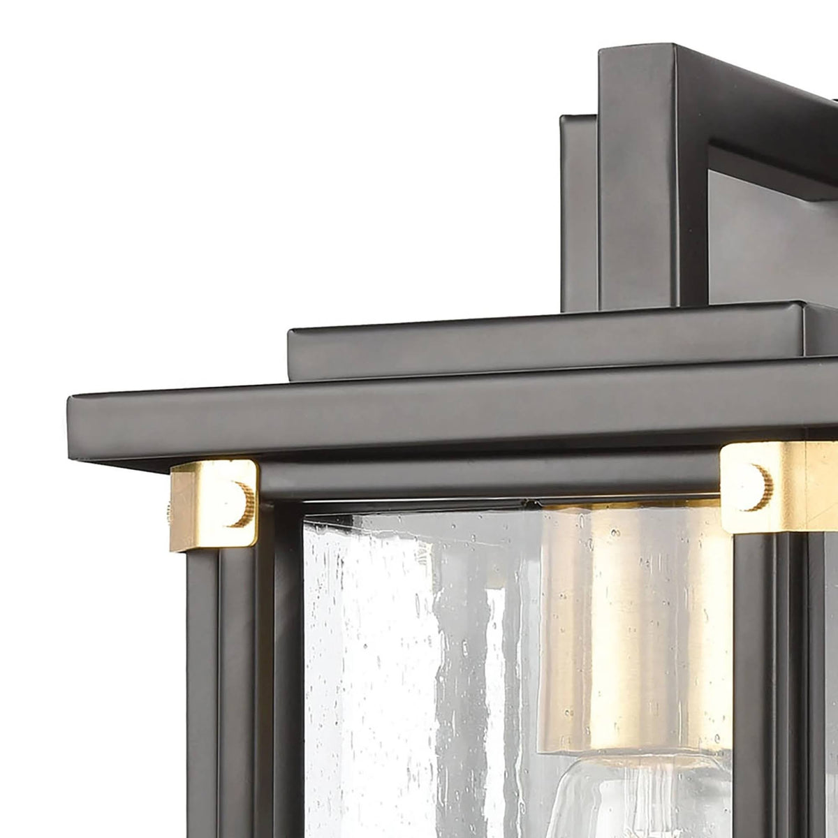 Matte Black 1-Light Sconce with Seedy Glass D108449