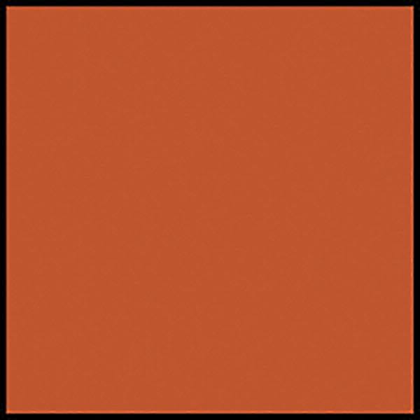 Orange 12 x 18 Inches Art Paper, 50 Sheets O1980