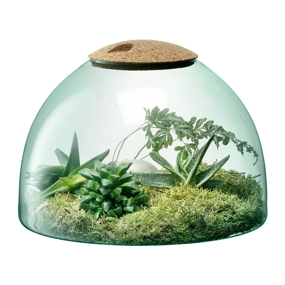 Clear Closed Garden Cork 22cm Z993