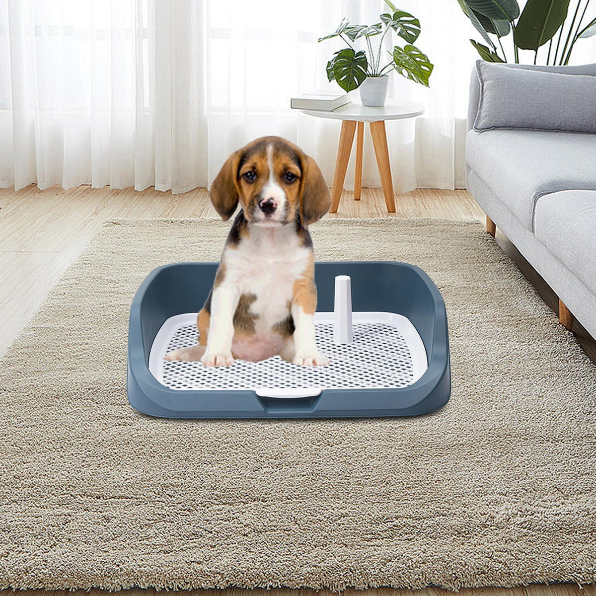 Light Blue Washable Dog Potty Tray R958