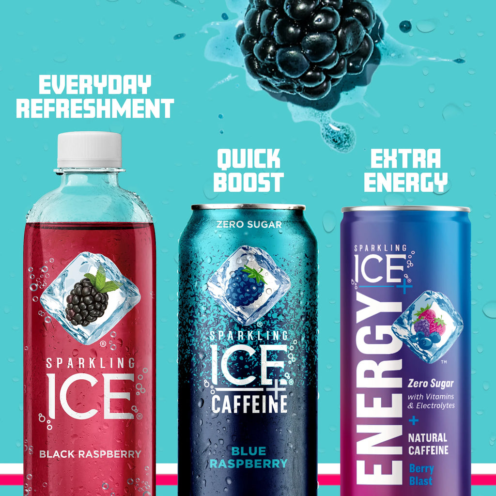 12 16oz Can Flavored Sparkling Water Variety Pack E262