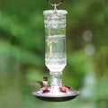 Clear Glass Hummingbird Feeder S135695