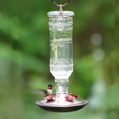Clear Glass Hummingbird Feeder S135695