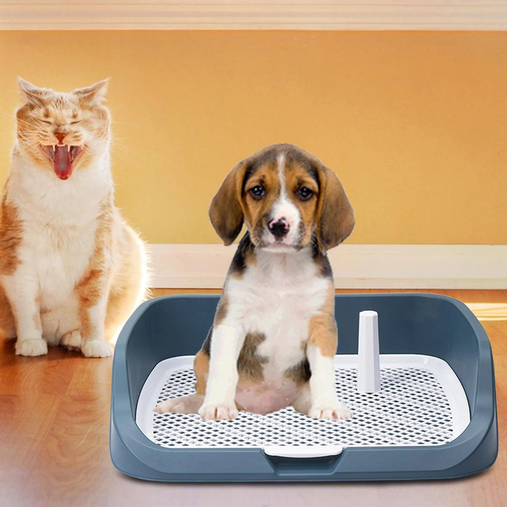 Light Blue Washable Dog Potty Tray R958