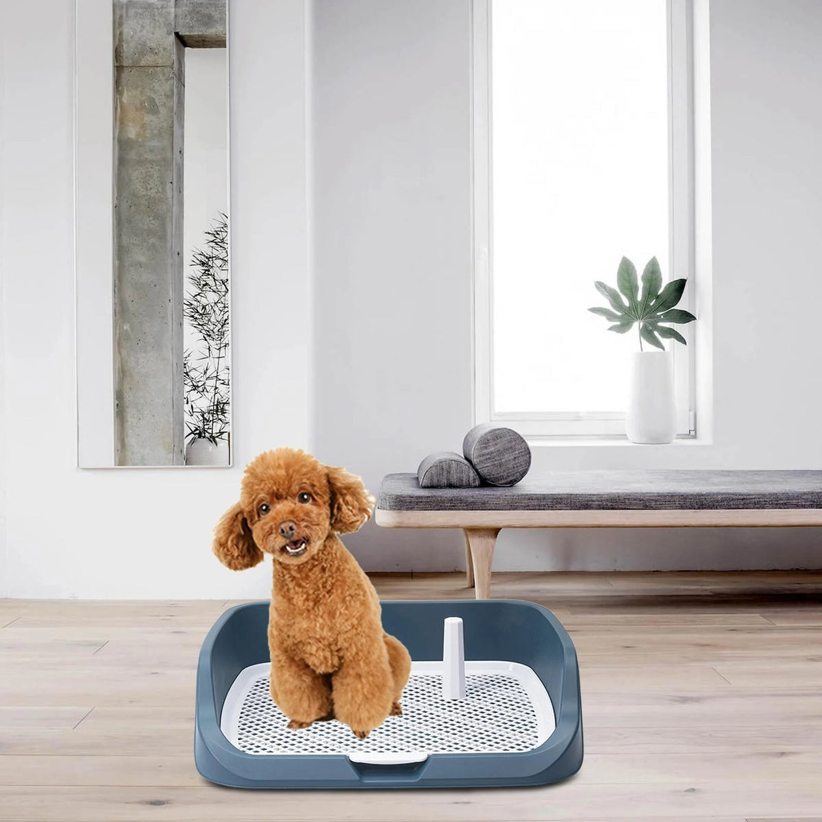 Light Blue Washable Dog Potty Tray R958