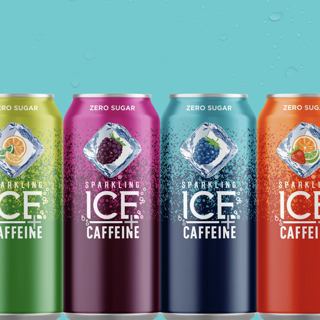 12 16oz Can Flavored Sparkling Water Variety Pack E262