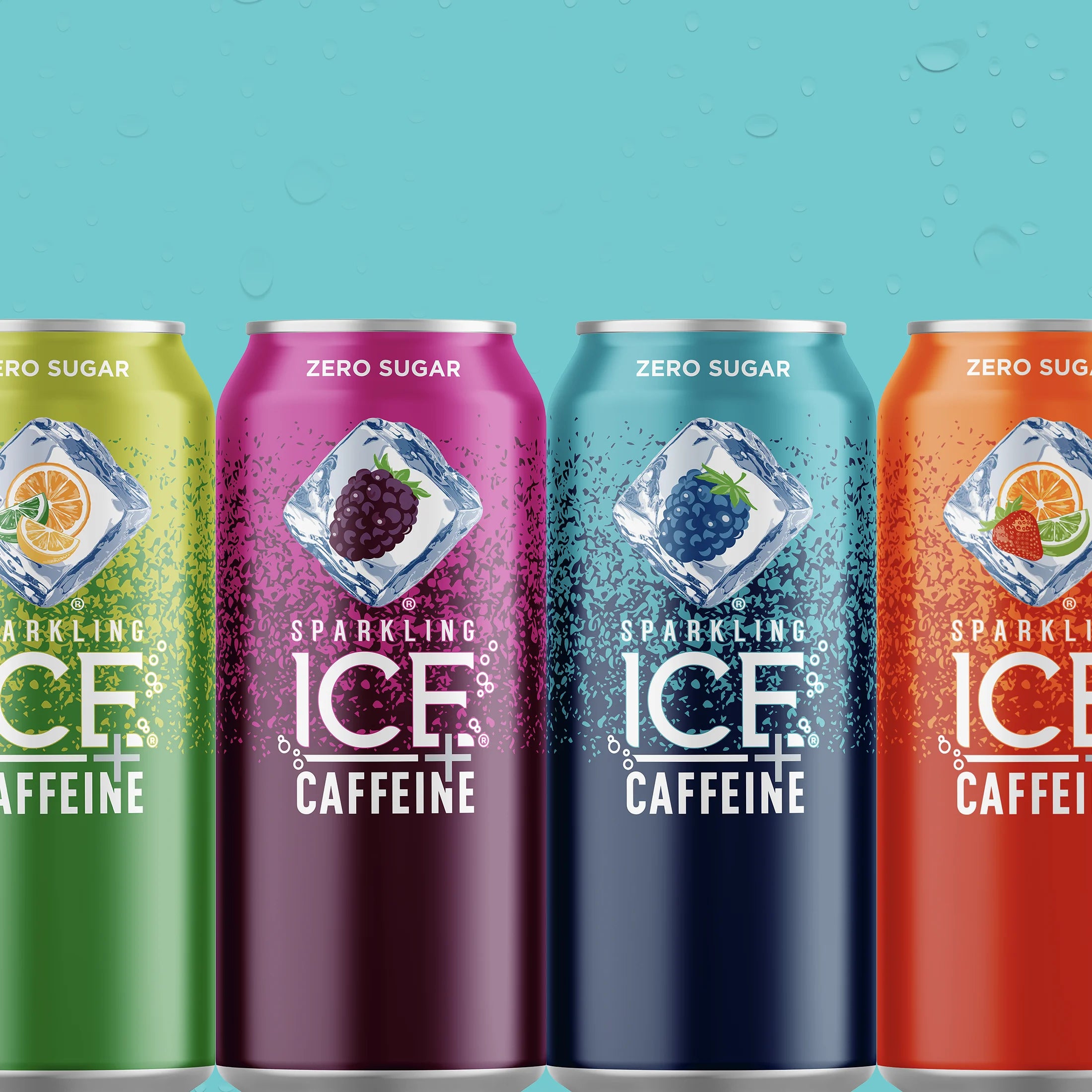 12 16oz Can Flavored Sparkling Water Variety Pack E262