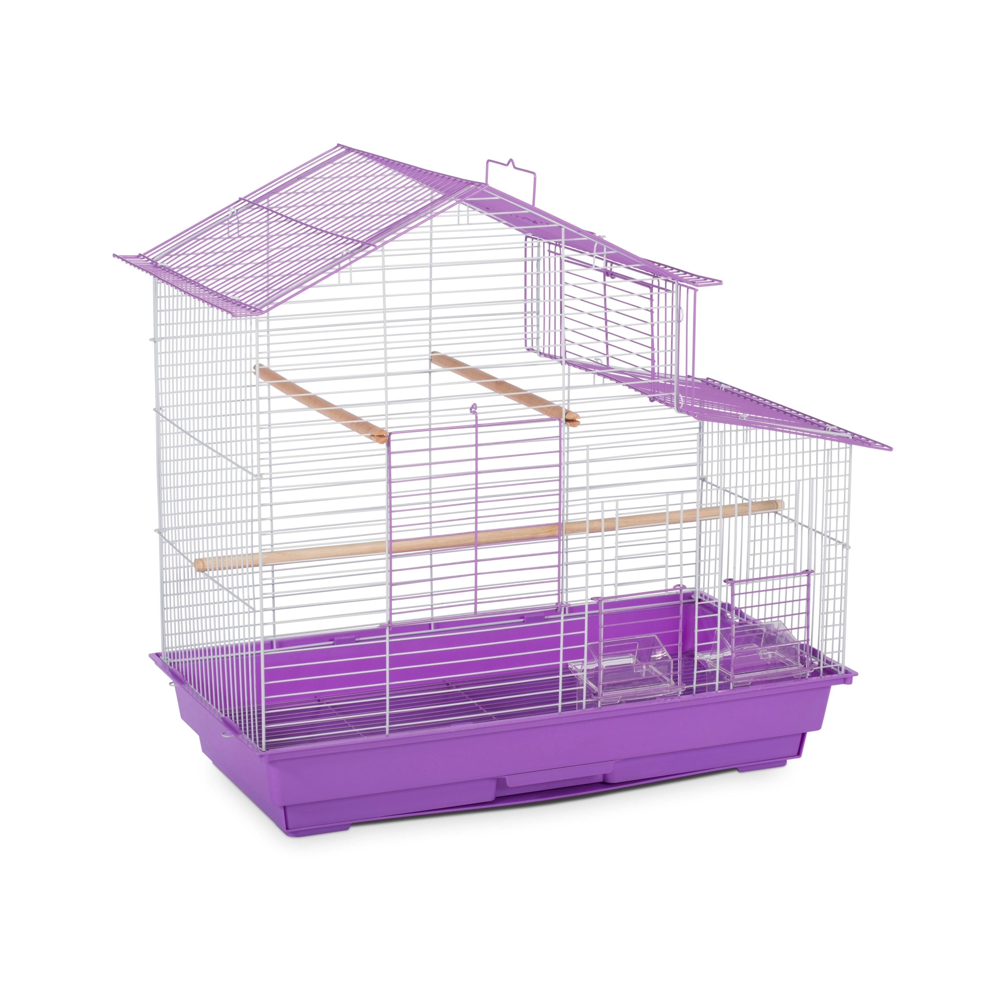 Purple Bird Cage N55446