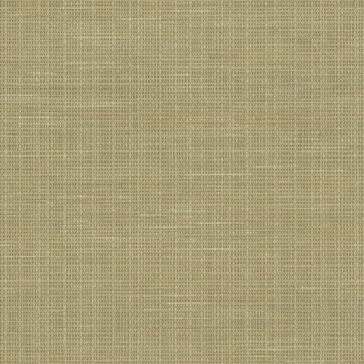 Green Faux Grasscloth Wallpaper A899578