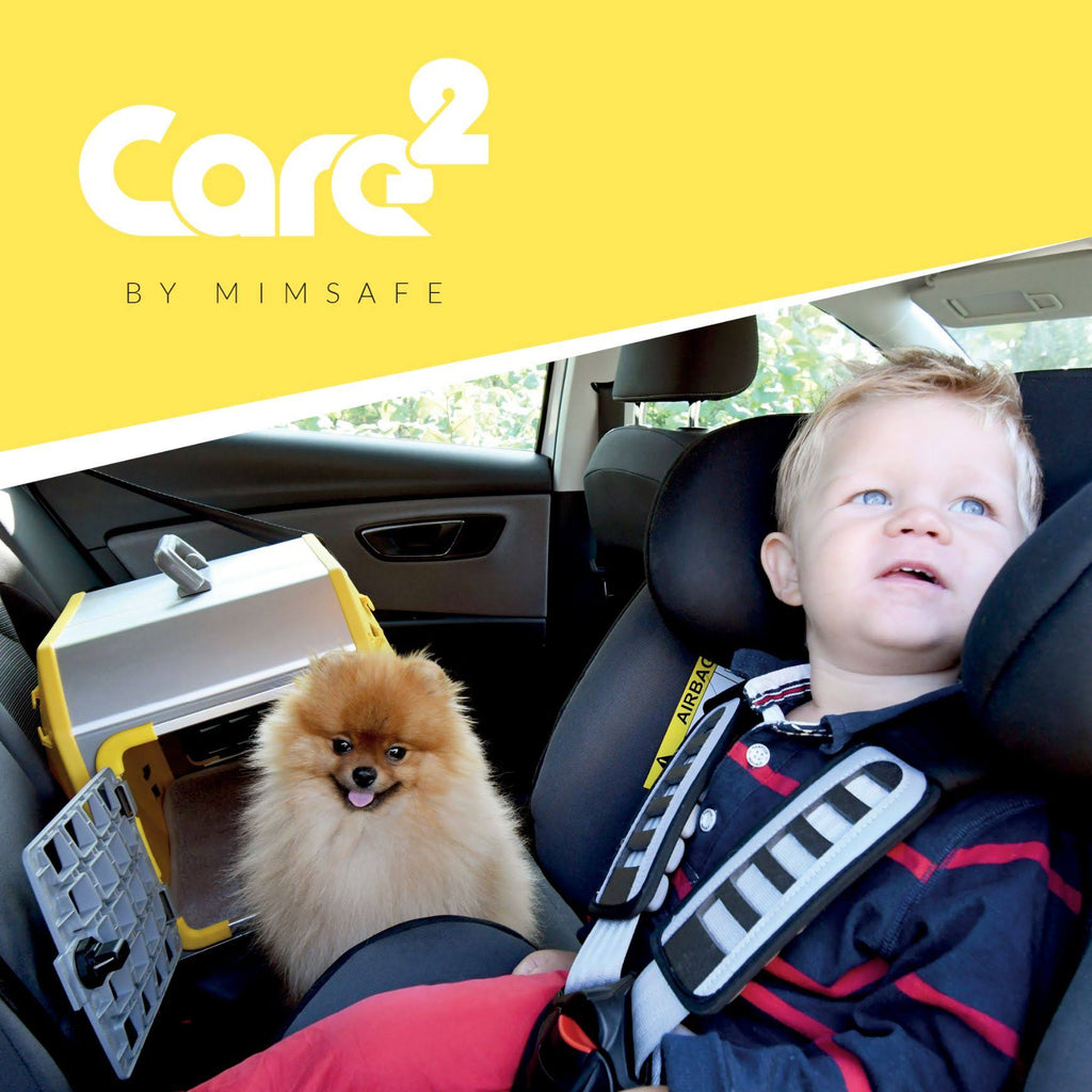 Grey Pet Carrier P492