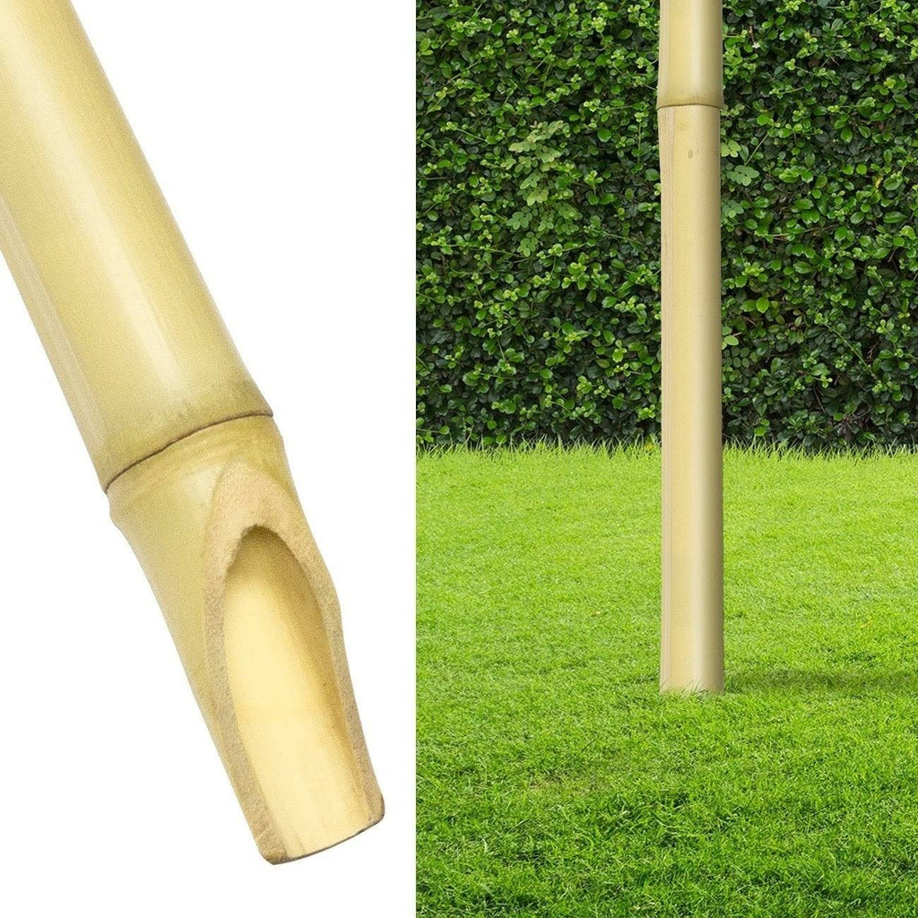 8 Bamboo Torches K434056