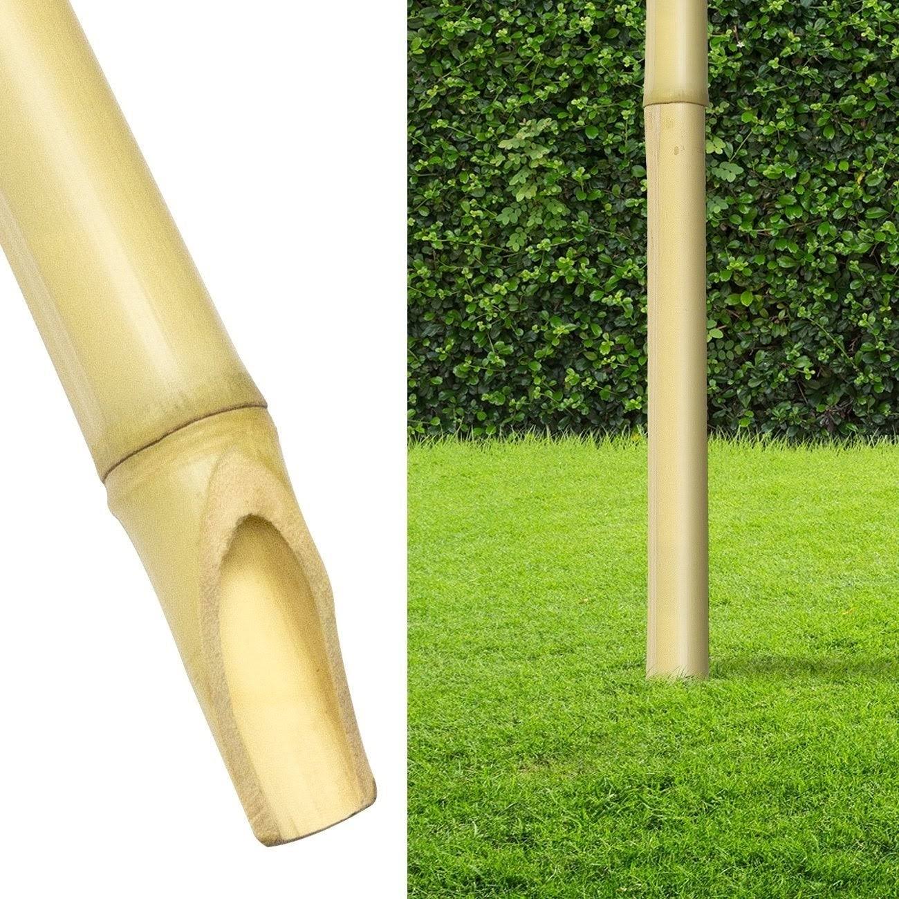 8 Bamboo Torches K434056