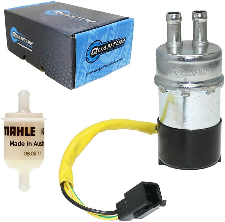 Fuel Pump and Fuel Filter Replacement, Pack of 2 U197