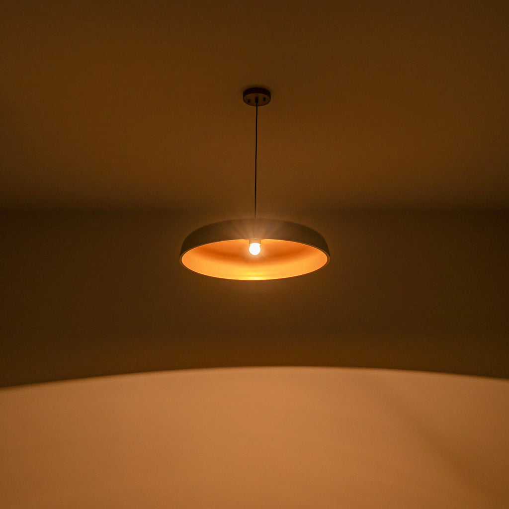 1-Light Dimmable Dome Mid-Century Modern Pendant J833