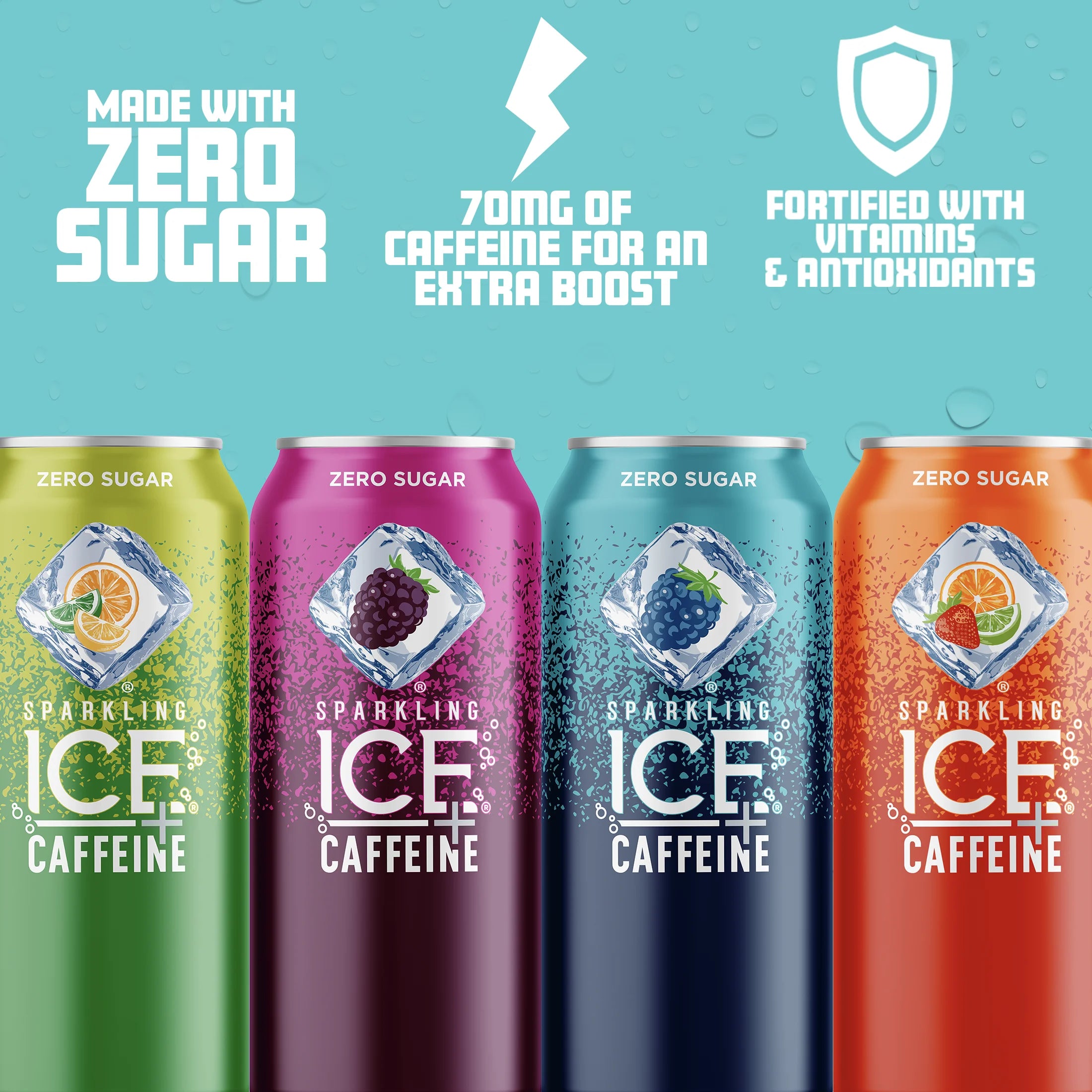 12 16oz Can Flavored Sparkling Water Variety Pack E262