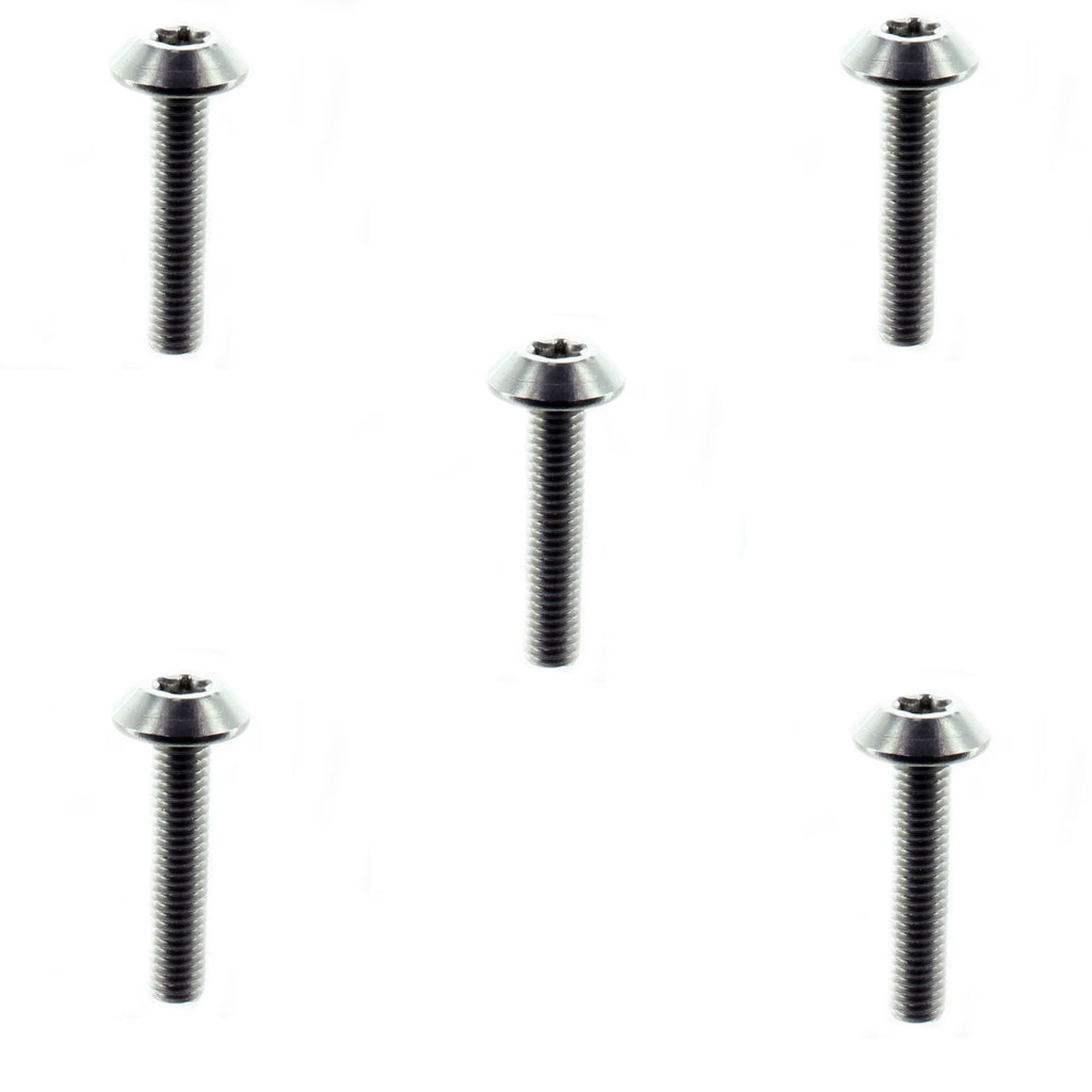 Truss Cone Torx Screw M6 Set of 5 E18295