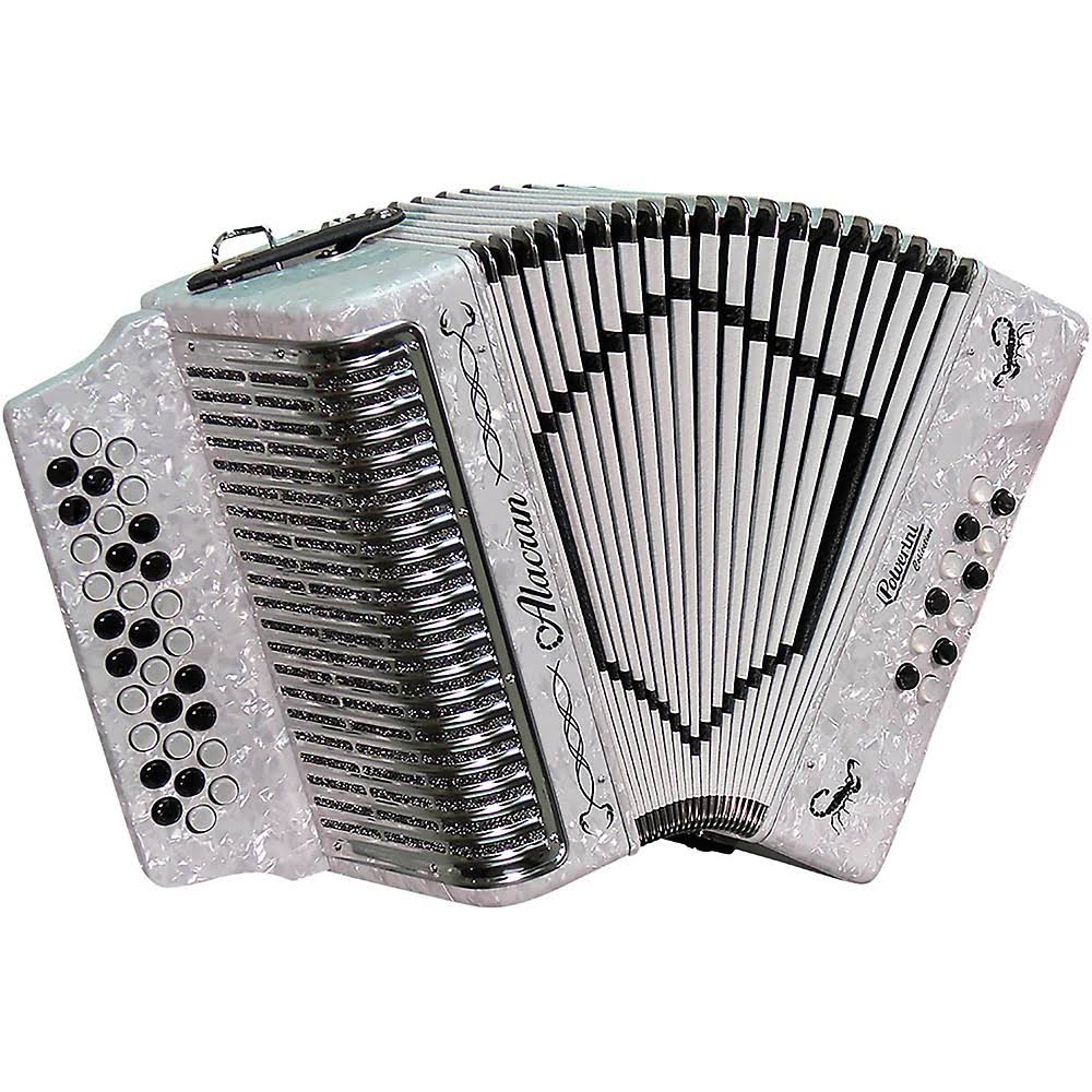 Accordion with Case and Straps White Sol/GCF B561434