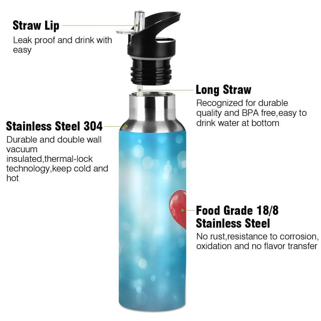 Blue Insulated Stainless Steel Water Bottle with Straw Lid 20 oz N644