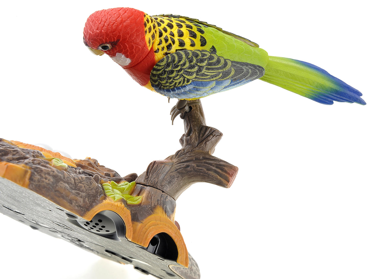 Wall Mount Dancing Bird Toy with Motion Sensor O811273