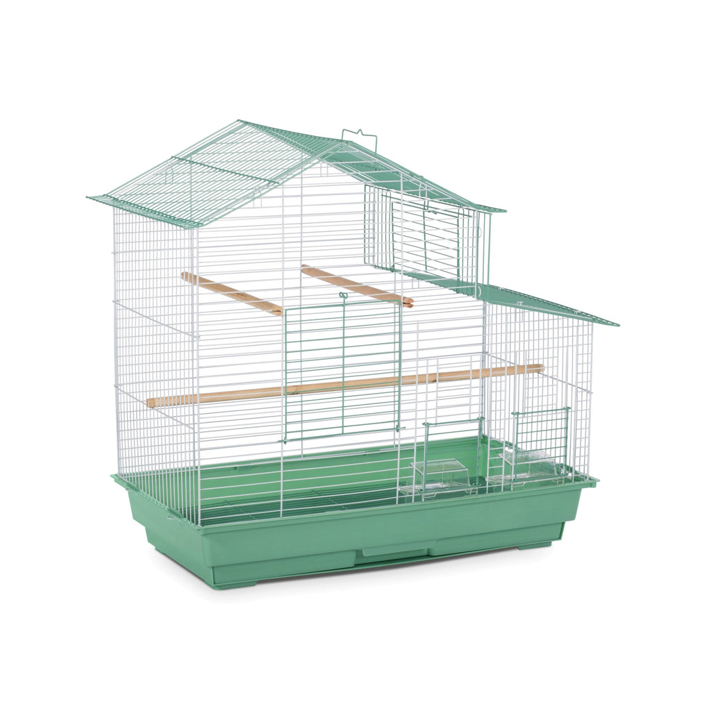 Purple Bird Cage N55446