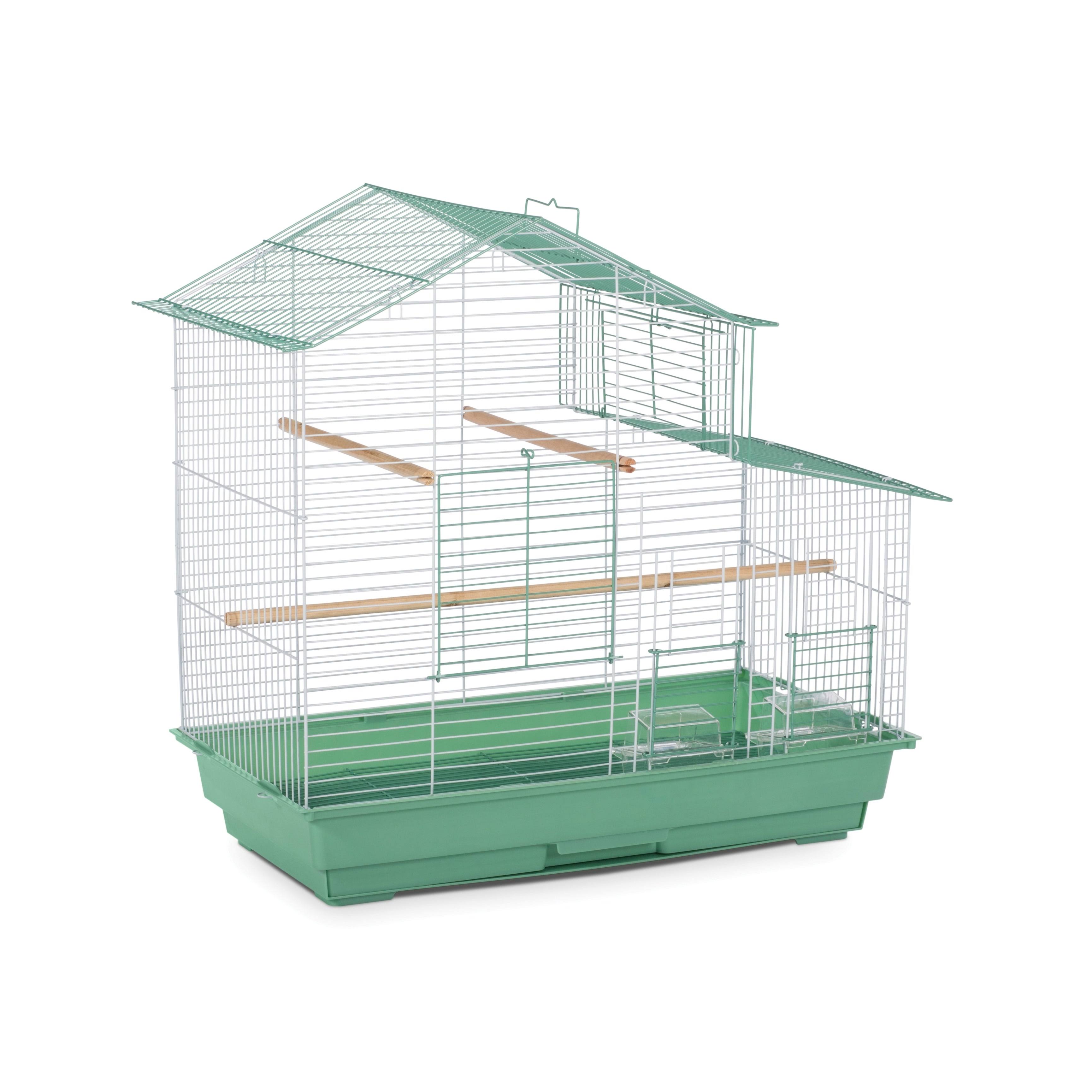 Purple Bird Cage N55446