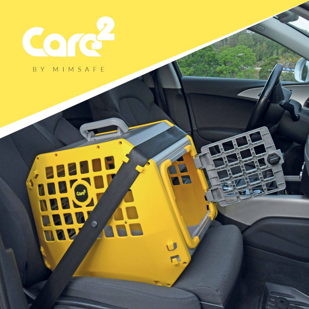 Grey Pet Carrier P492