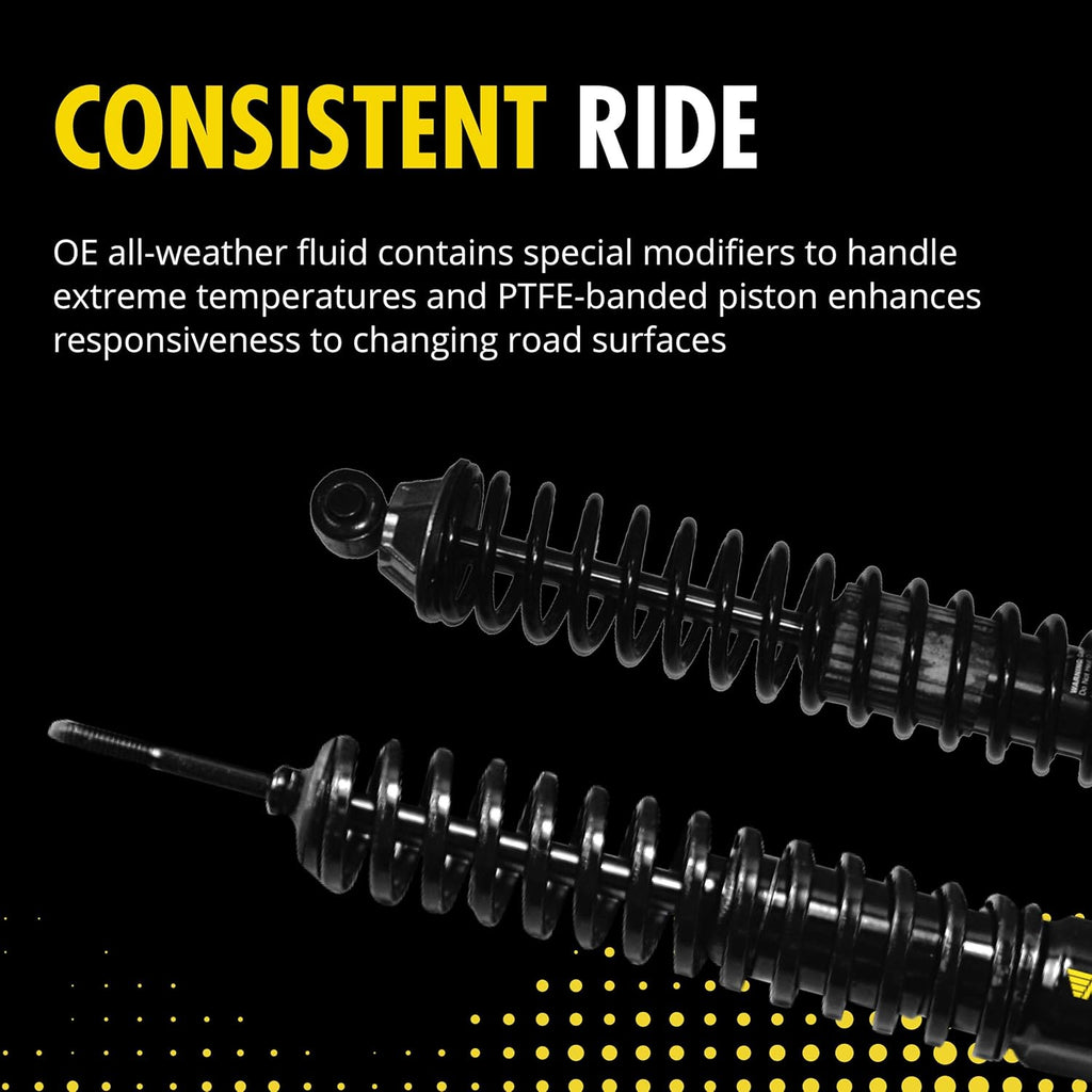 Shock Absorber E9887