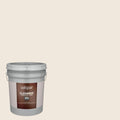 Flat Creamy Exterior Paint (5-Gallon) C89205