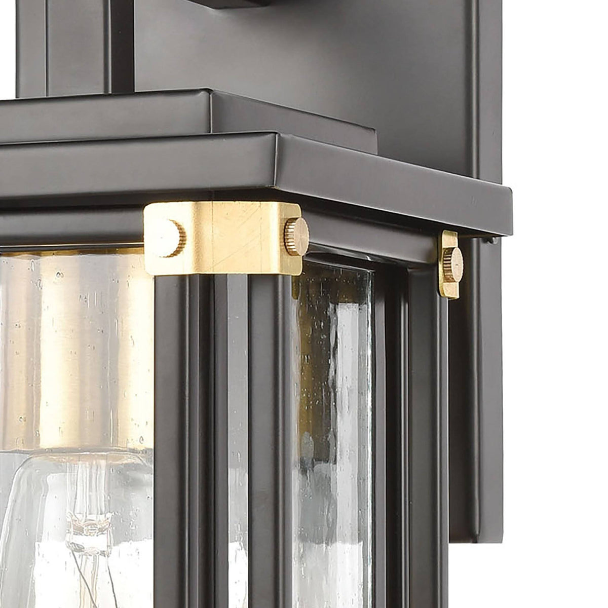 Matte Black 1-Light Sconce with Seedy Glass D108449