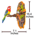 Wall Mount Dancing Bird Toy with Motion Sensor O811273