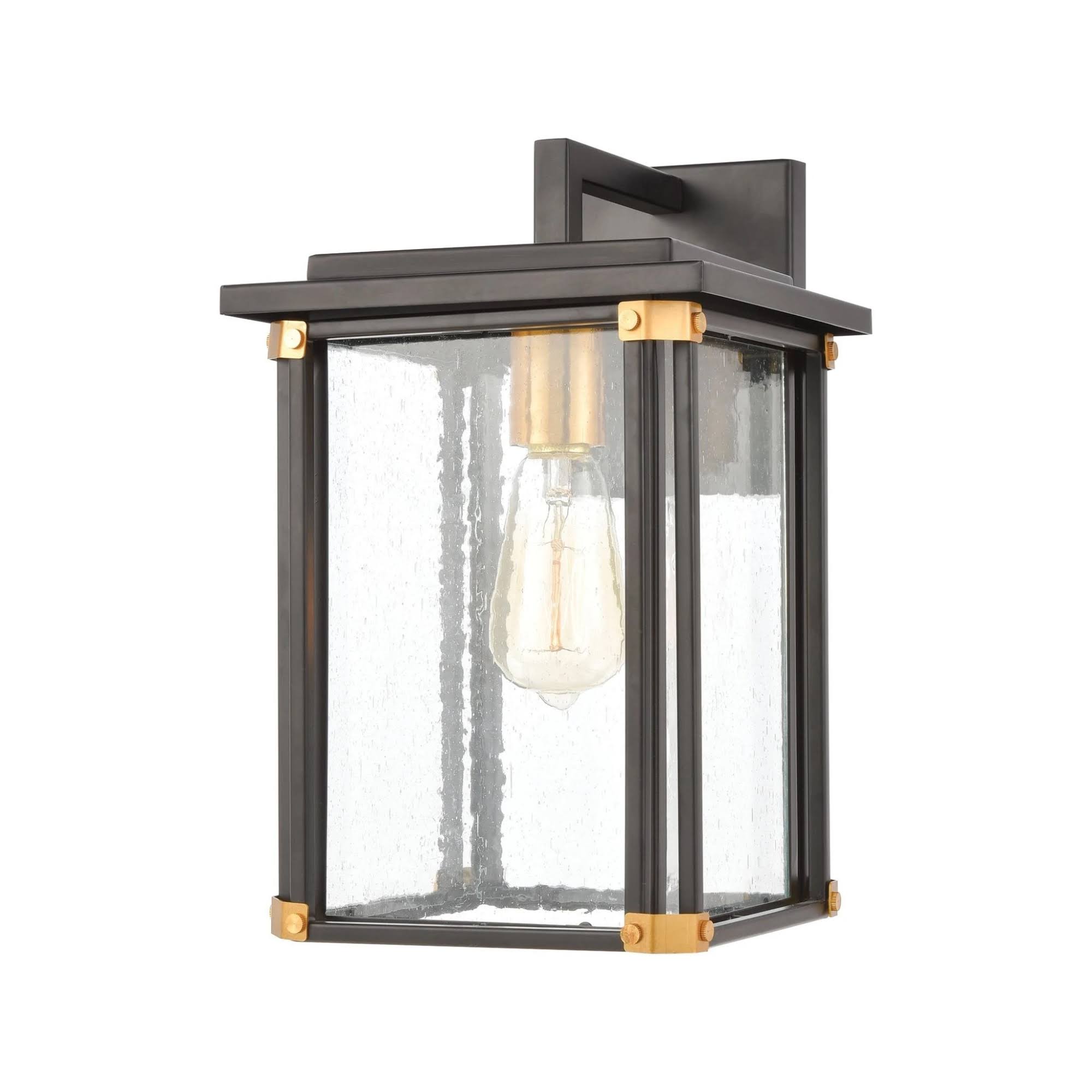Matte Black 1-Light Sconce with Seedy Glass D108449