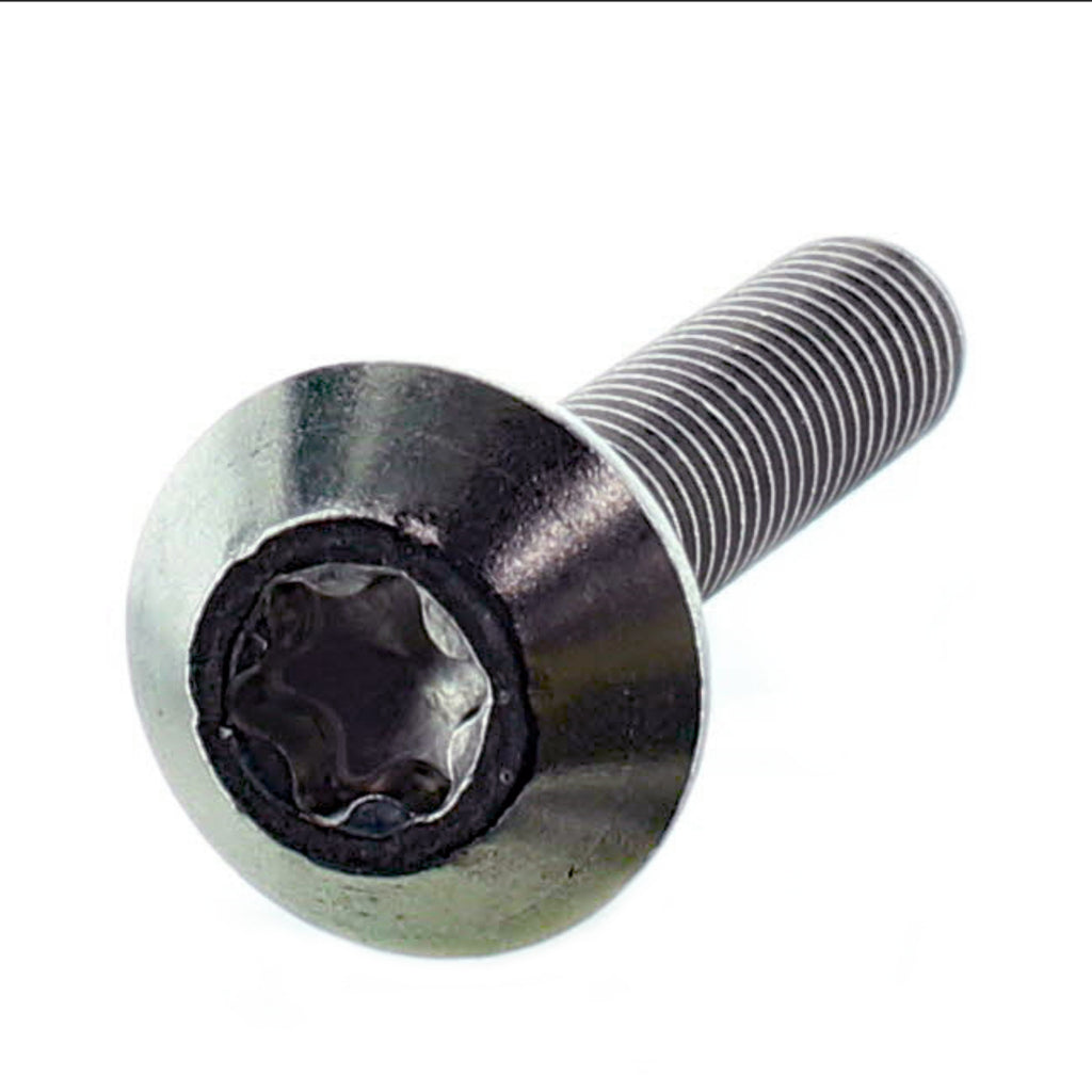 Truss Cone Torx Screw M6 Set of 5 E18295