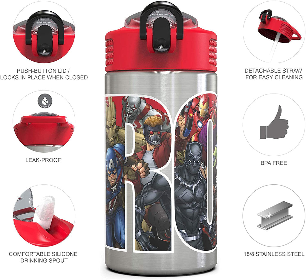 Stainless Steel Water Bottle with Straw Spout, 15.5 oz Q871097