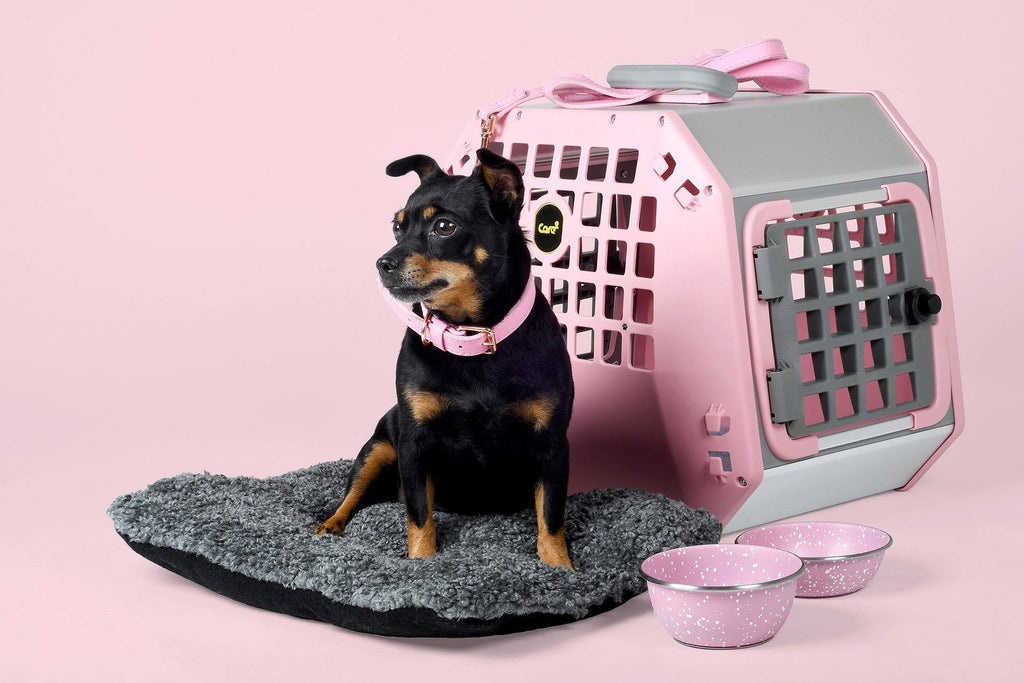 Grey Pet Carrier P492
