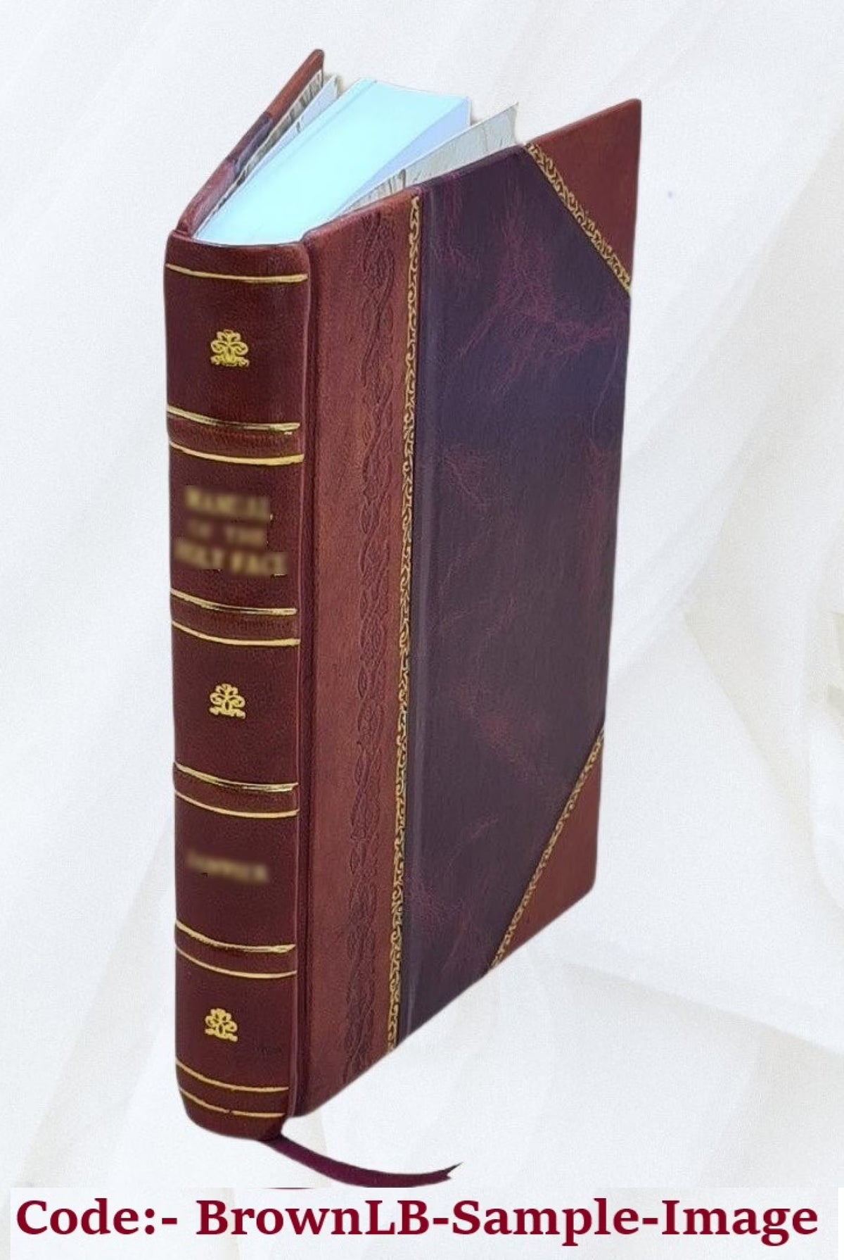Leather Bound Art Book H7403