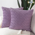Set of 2 Velvet Decorative Throw Pillow Covers 20x20 inch Square Cushion Case H1632