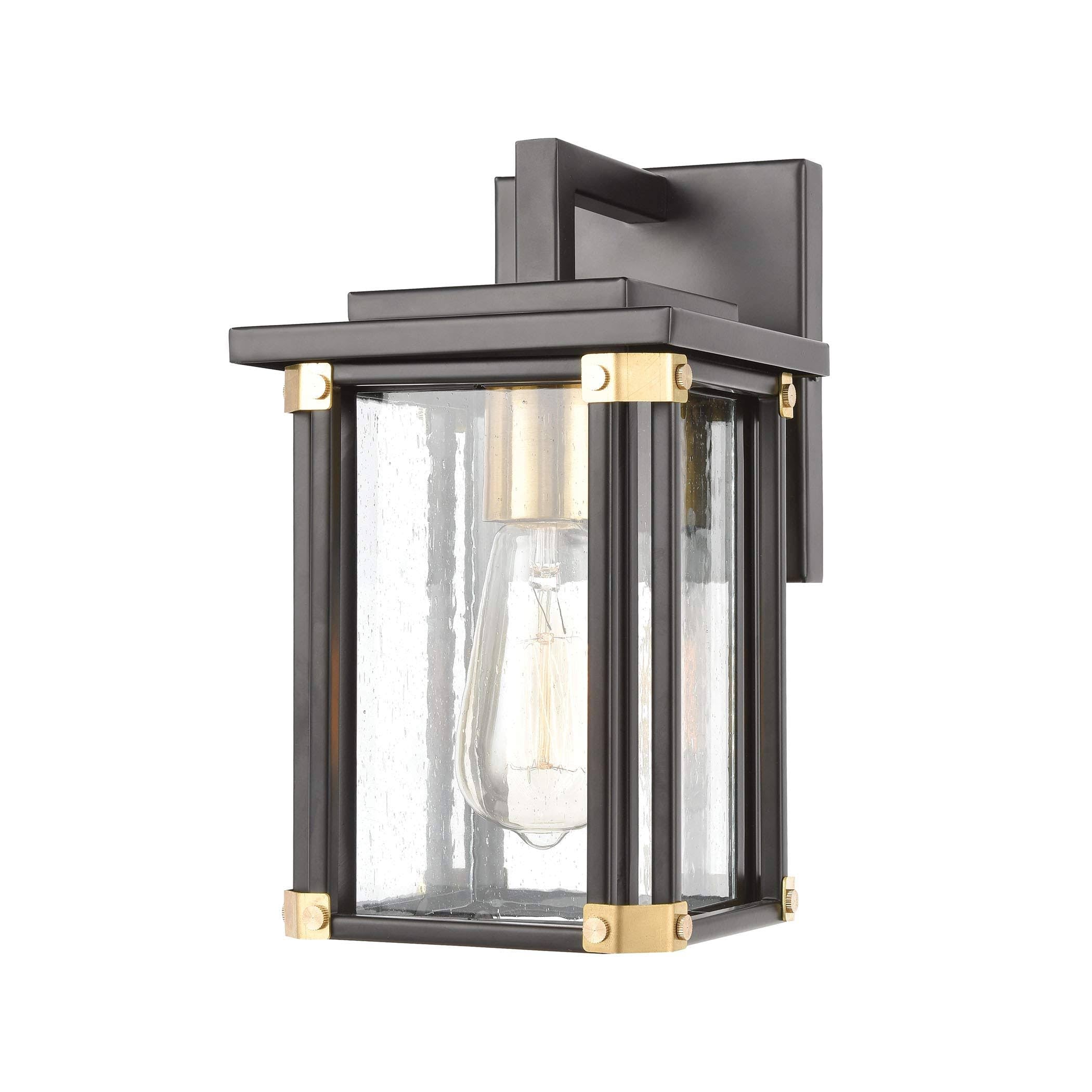 Matte Black 1-Light Sconce with Seedy Glass D108449