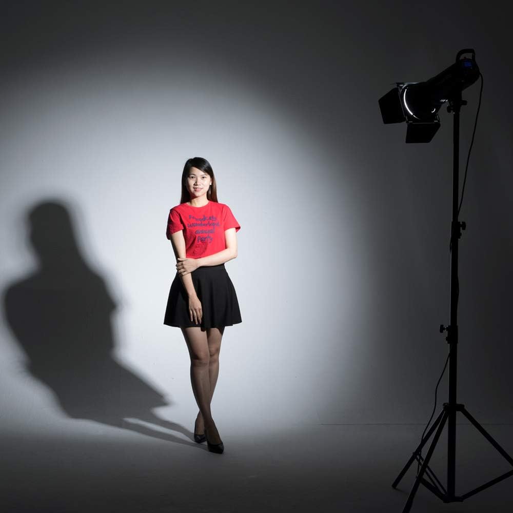 2 Pack 800Ws Photo Speedlite Studio Flash Strobe Monolight Bowens Mount Kit with Softbox, Light Stand, Barn Door Kit, Reflector Y78865